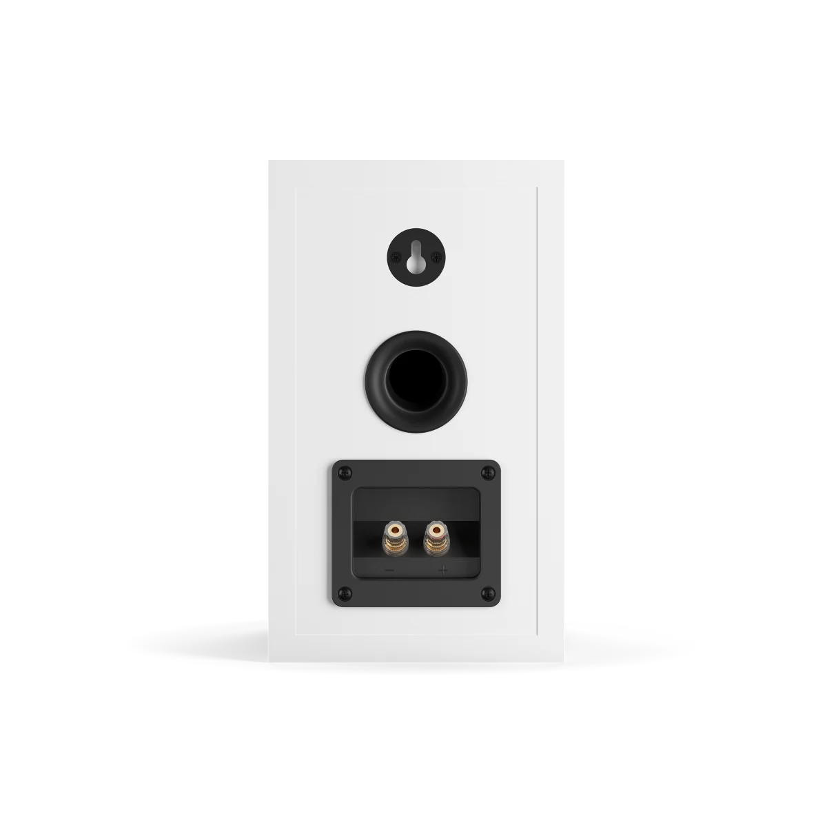 OBERON 1 | A bookshelf speaker for smaller rooms | DALI Loudspeakers